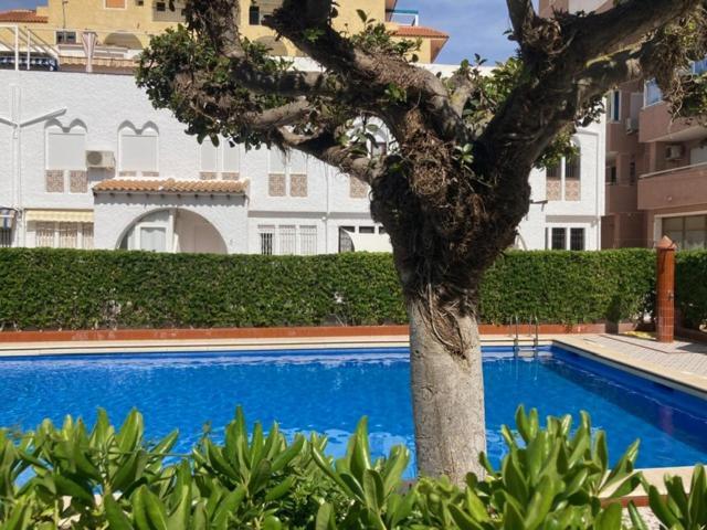 Casa Torrevieja La Mata Villa Exterior photo
